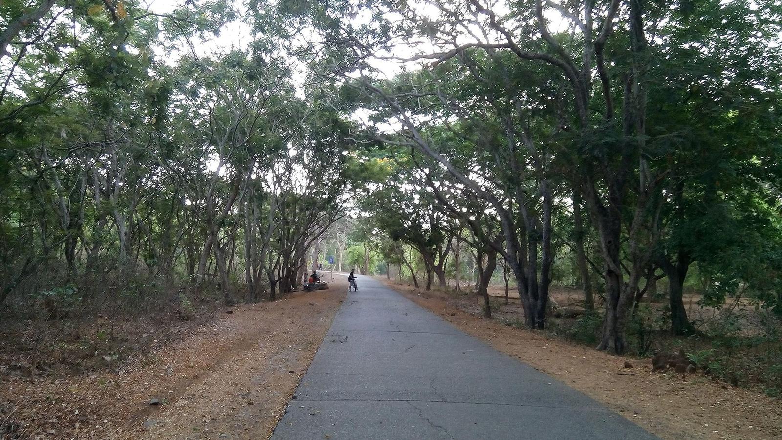 Mumbai 03 2016 89 scene in Sanjay Gandhi National Park